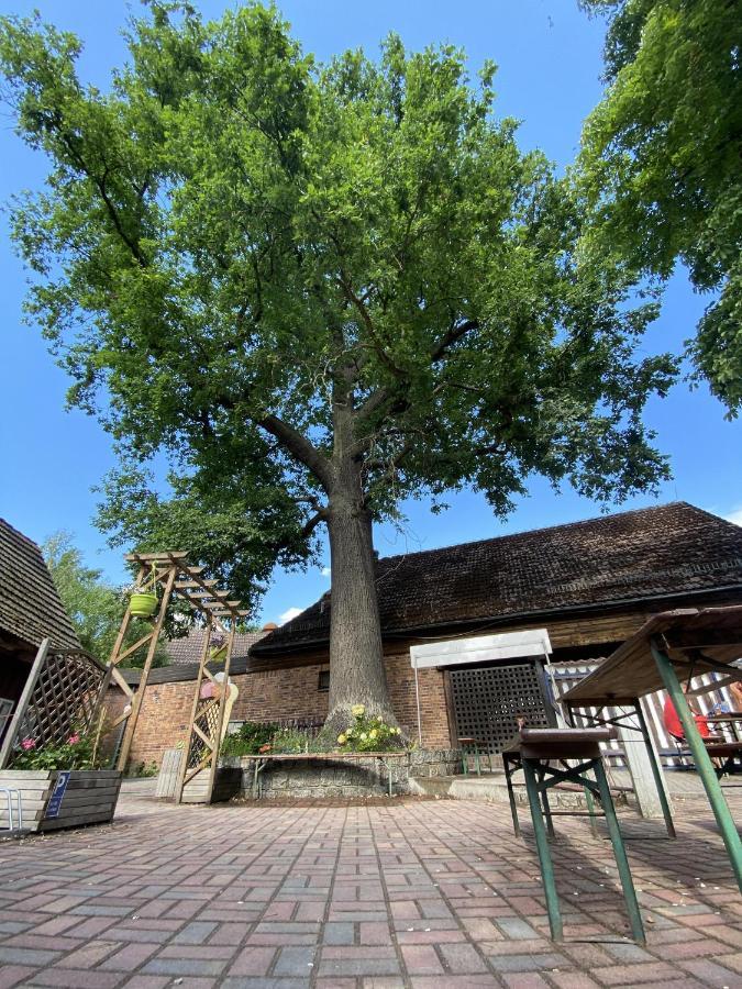 Pension Unter Der 250 Jaehrigen Eiche - Lehde Zentrum Kaupen Exterior foto